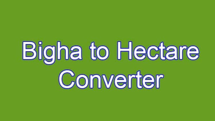 Hectare to Bigha – Complete Conversion Guide with Examples